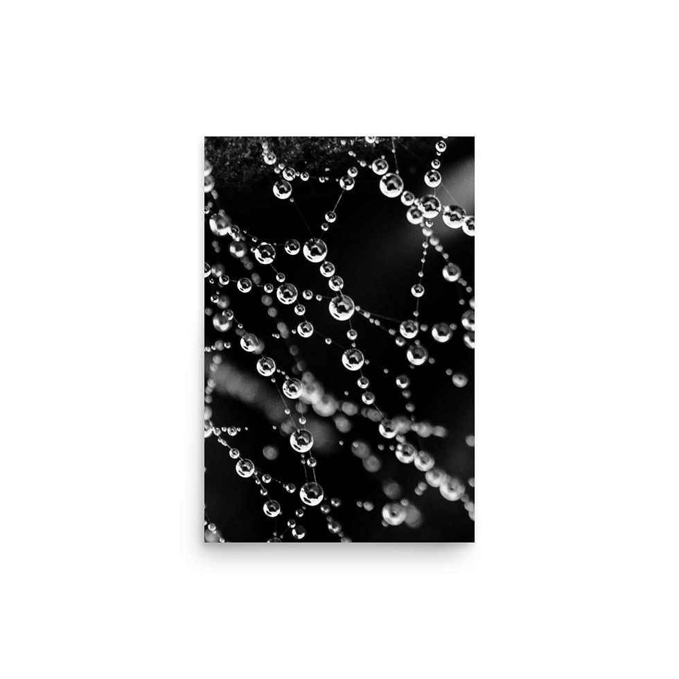 Thumbnail: Pearls, Wall Art