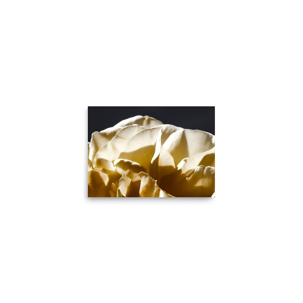 Miniatura: Golden Hills, Wall Art