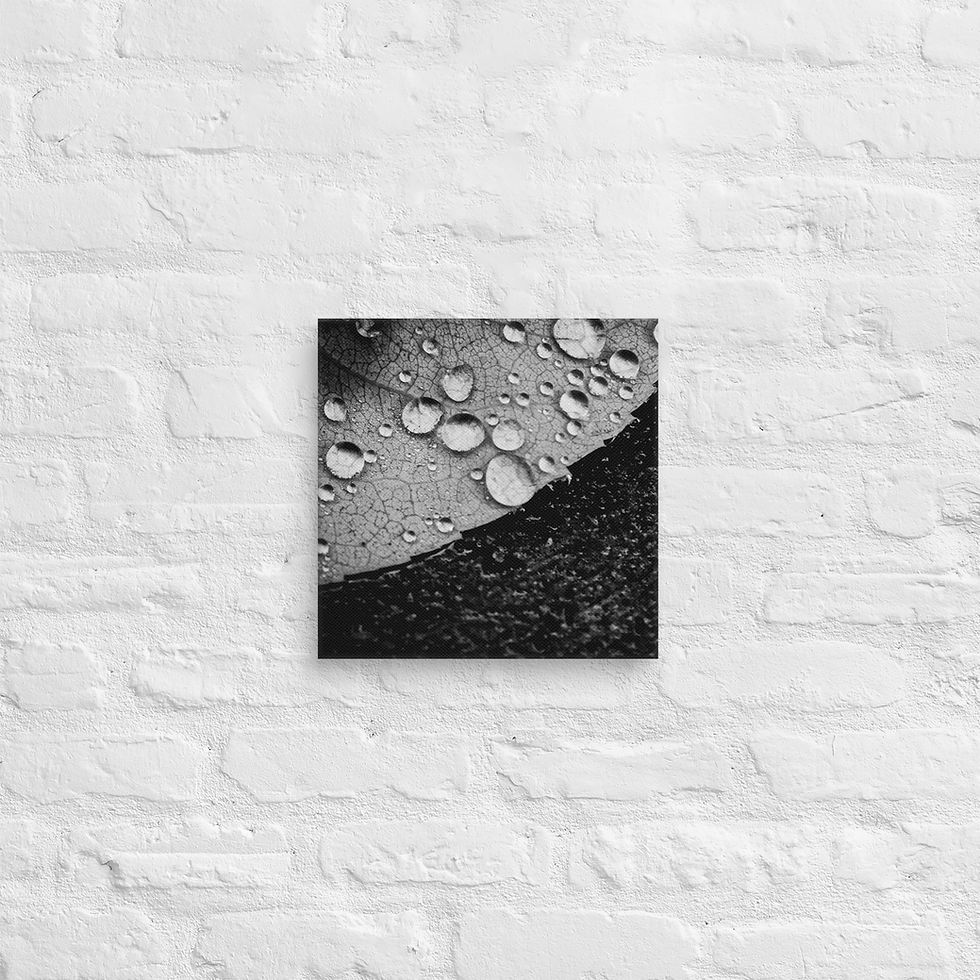 Thumbnail: Dark side, Canvas Wall Art