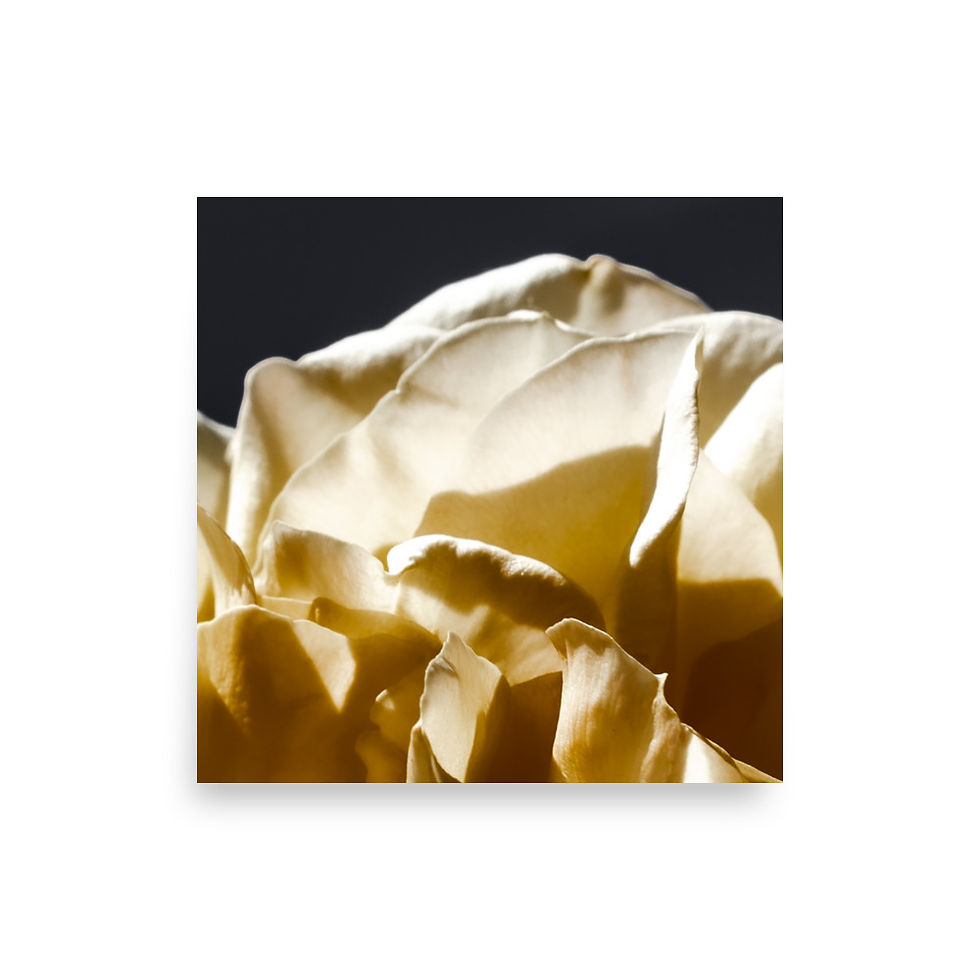 Miniatura: Golden Hills, Wall Art