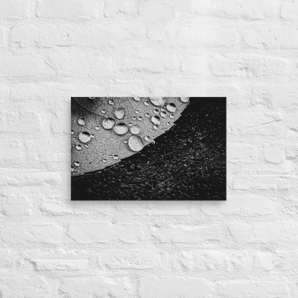 Thumbnail: Dark side, Canvas Wall Art