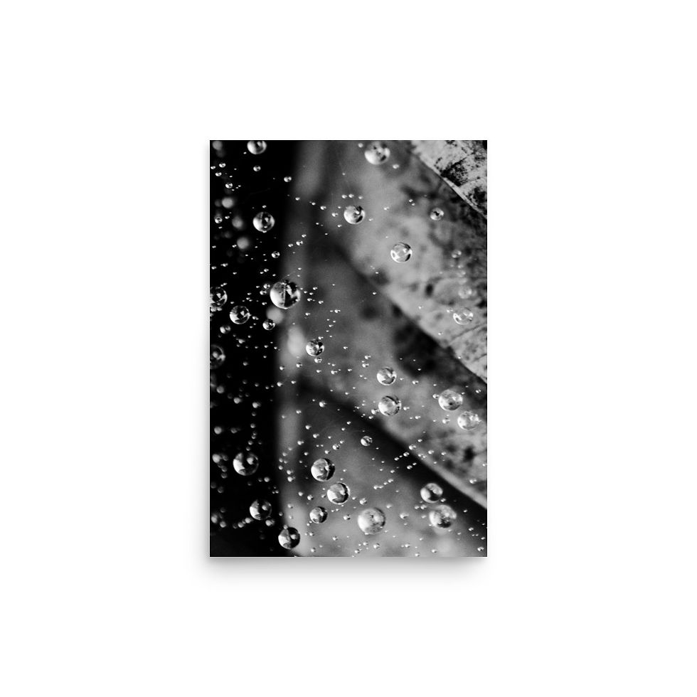 Thumbnail: Nature's Armor, Wall Art