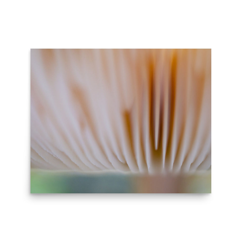 Miniatura: Cloud 9, Wall Art