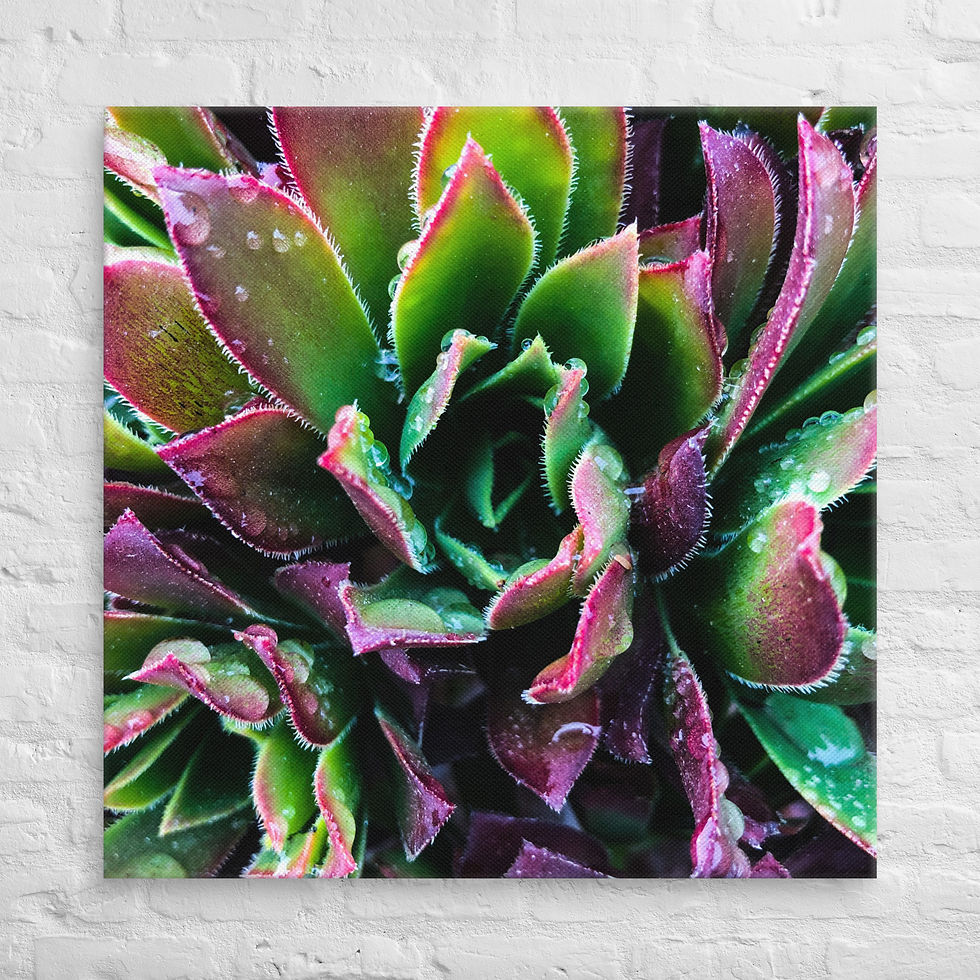 Thumbnail: Berry-Hue, Canvas Wall Art