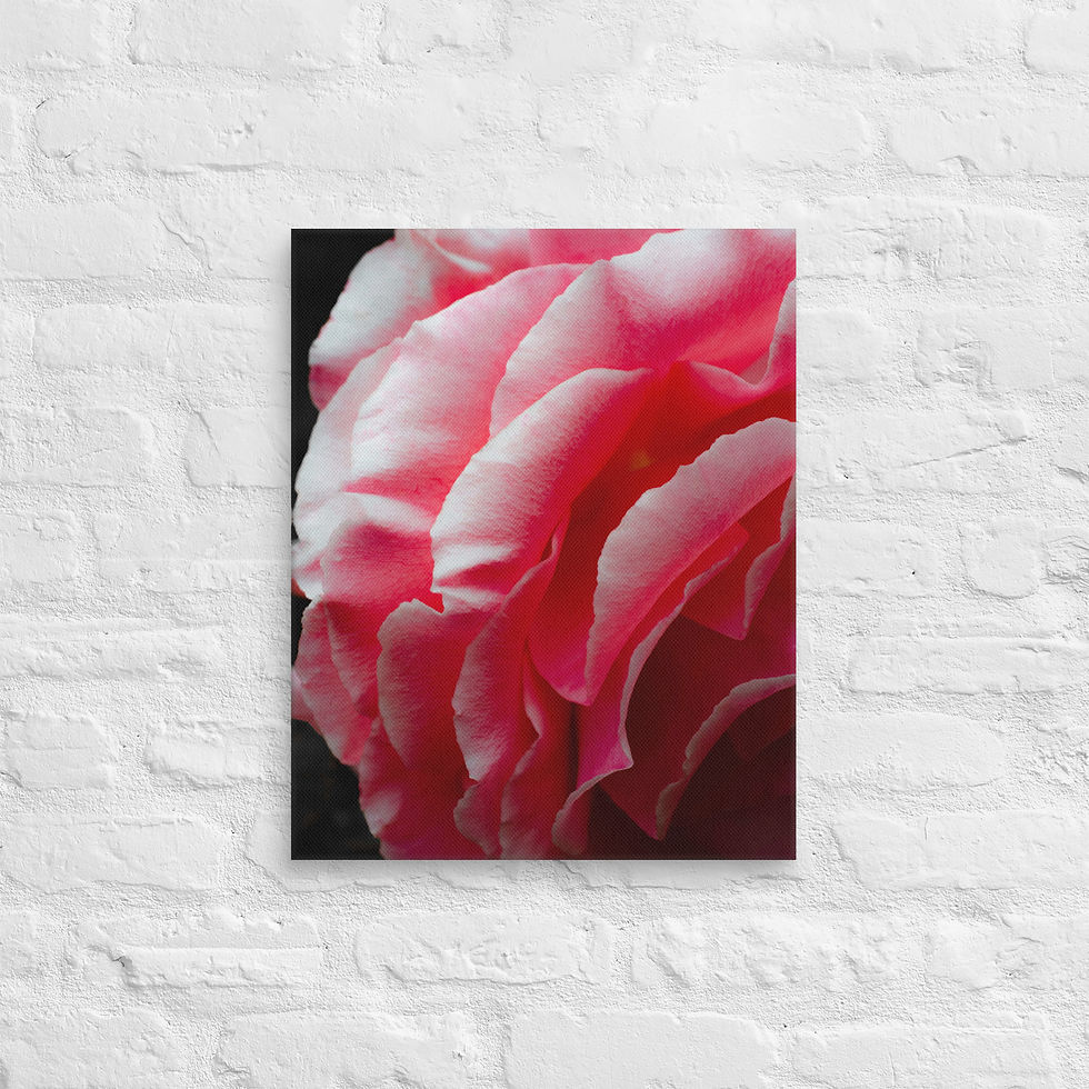 Thumbnail: Petal Drama, Canvas Wall Art