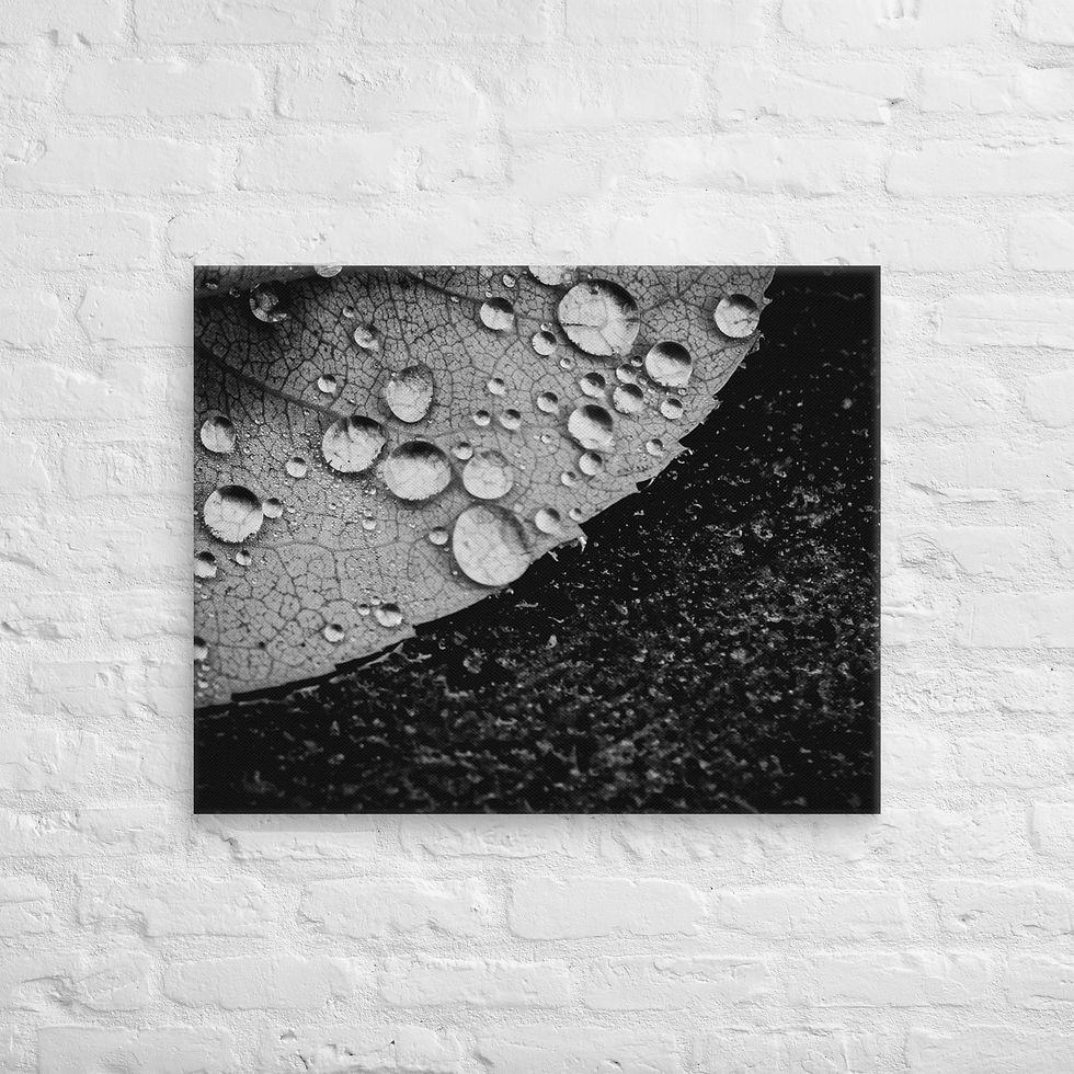 Thumbnail: Dark side, Canvas Wall Art