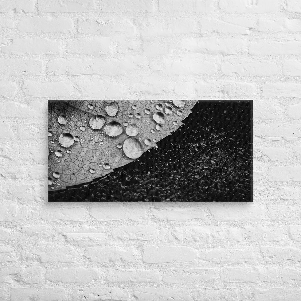 Thumbnail: Dark side, Canvas Wall Art