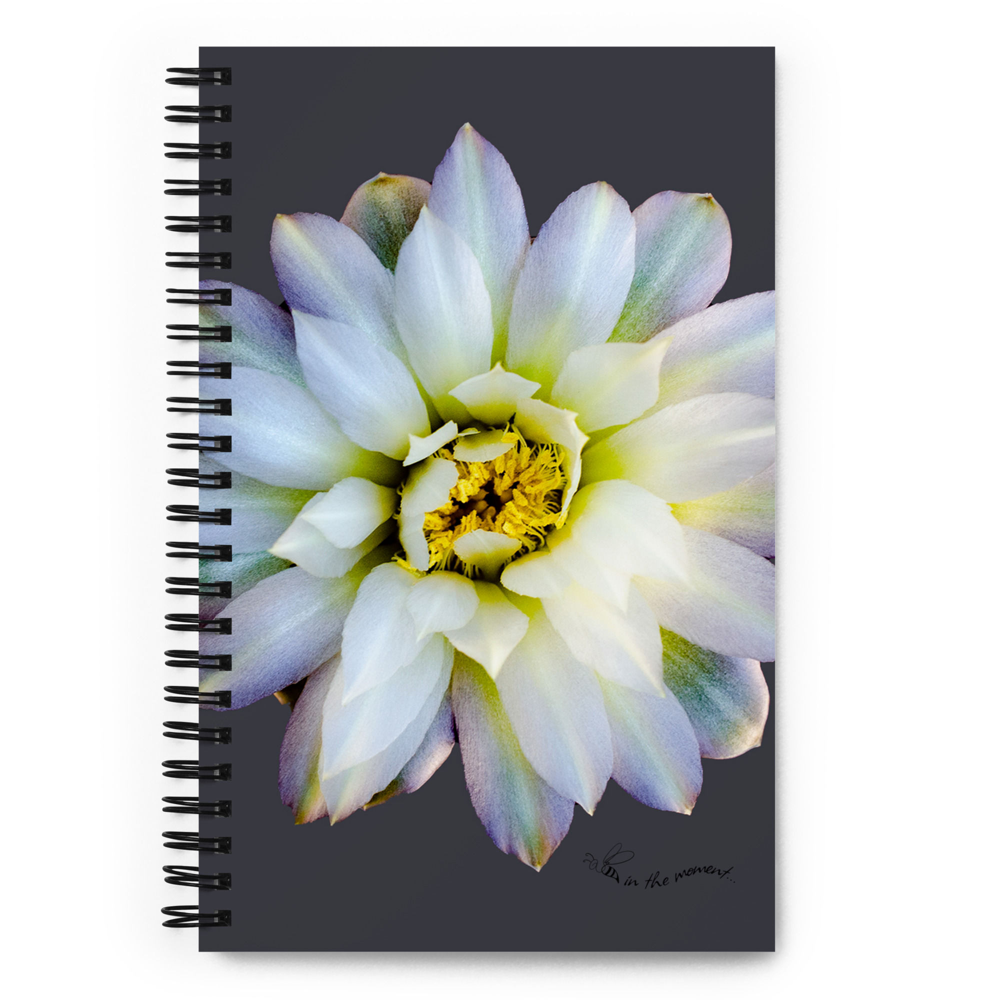 In Bloom, Mindfulness Journal
