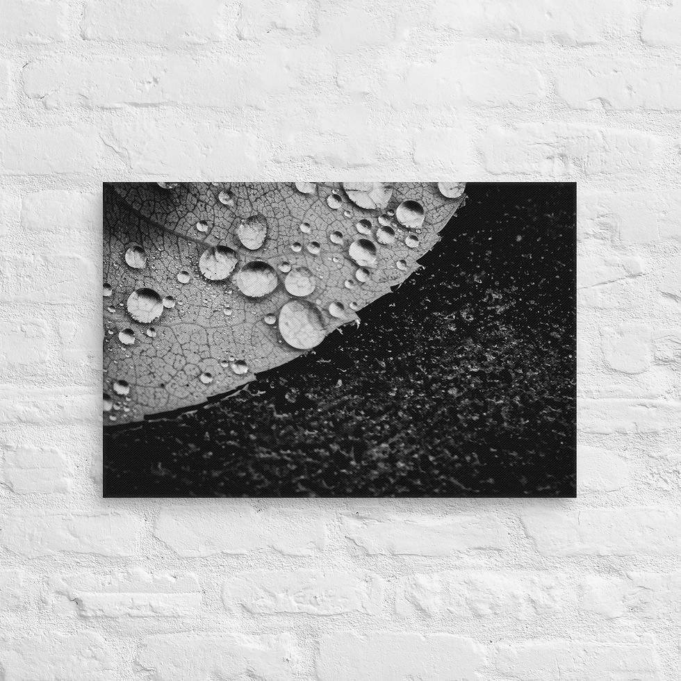 Thumbnail: Dark side, Canvas Wall Art
