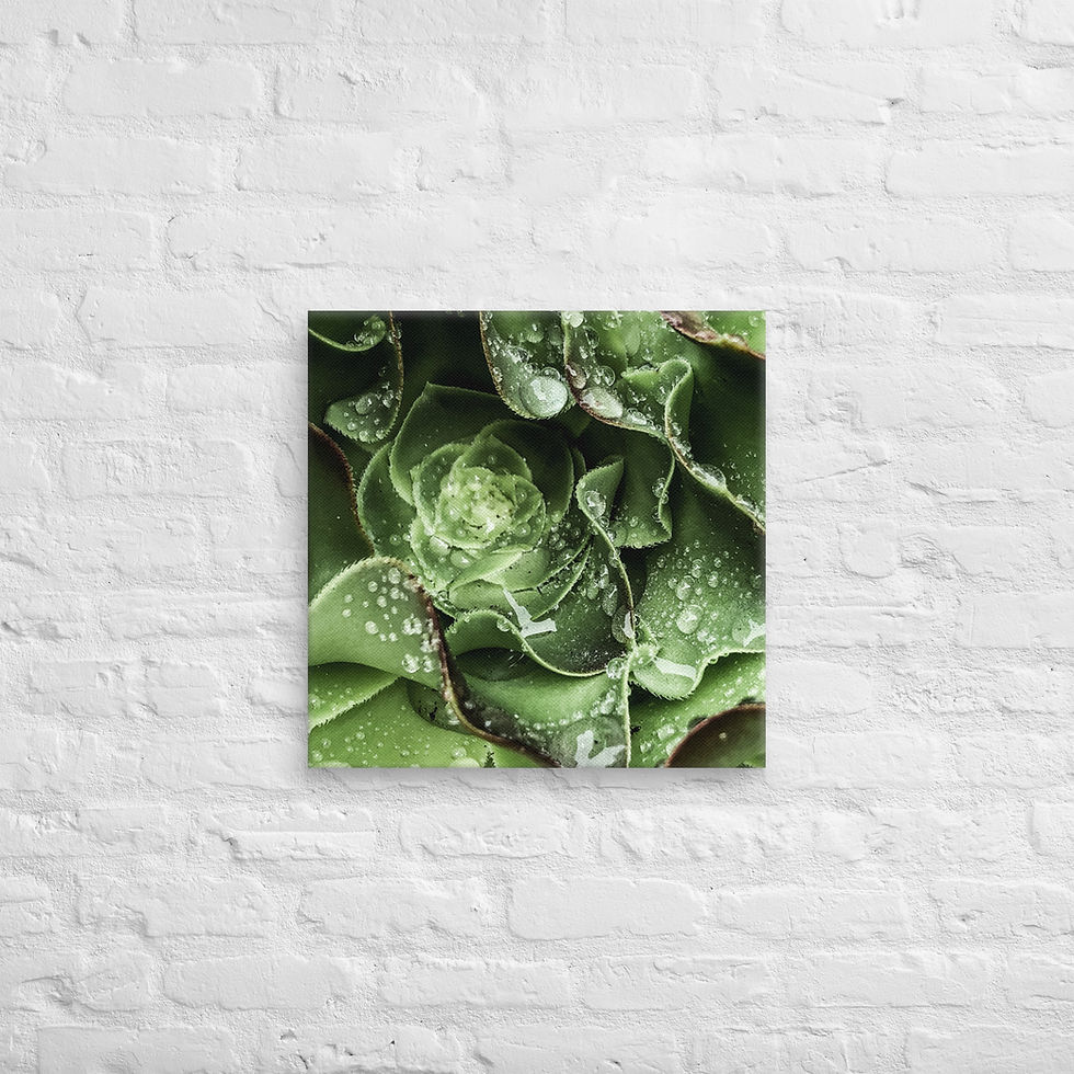 Thumbnail: Renew, Canvas Wall Art