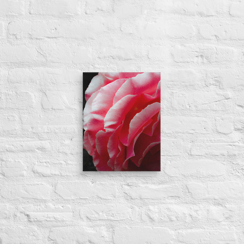 Thumbnail: Petal Drama, Canvas Wall Art