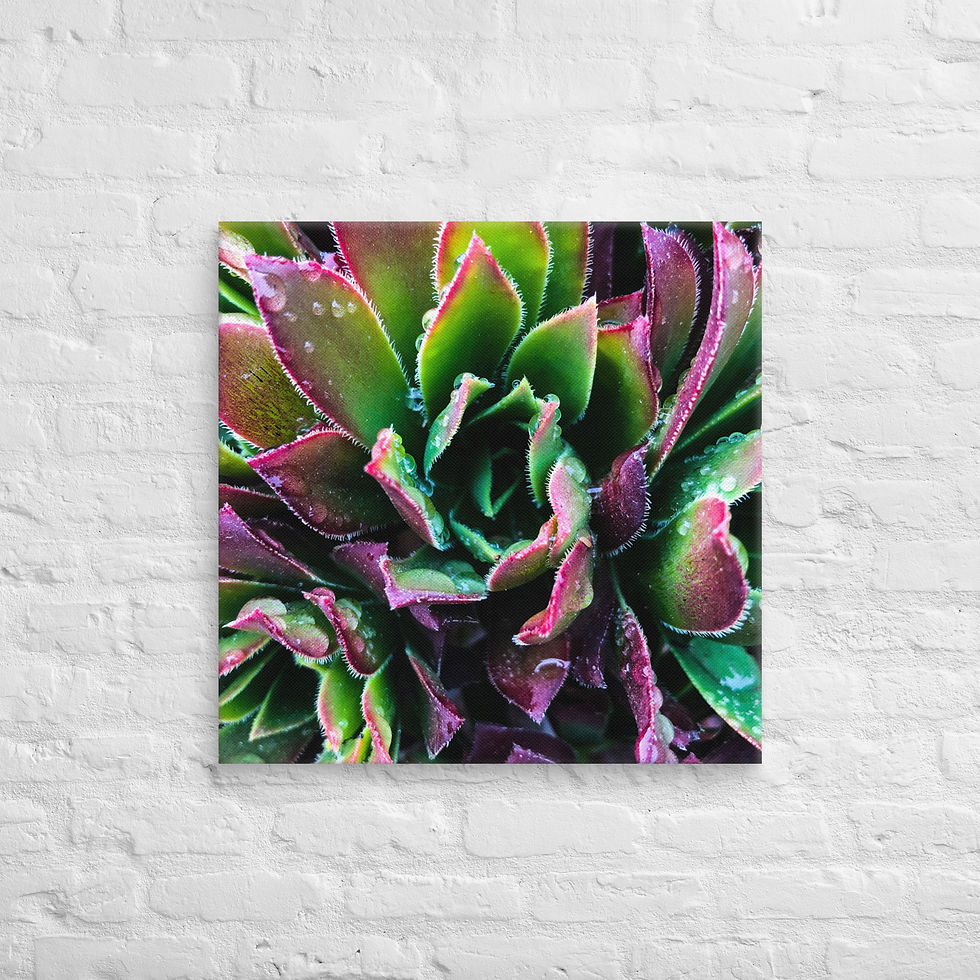Thumbnail: Berry-Hue, Canvas Wall Art