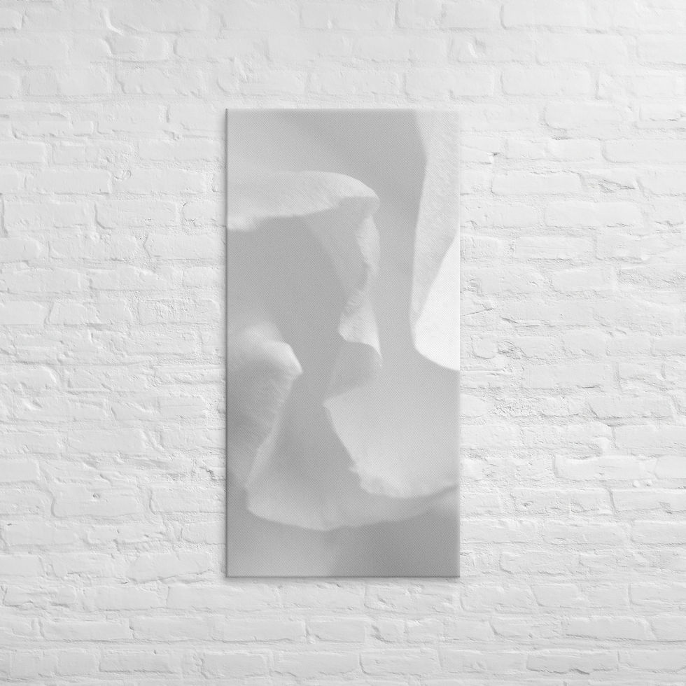 Thumbnail: Petal Dream, Canvas Wall Art