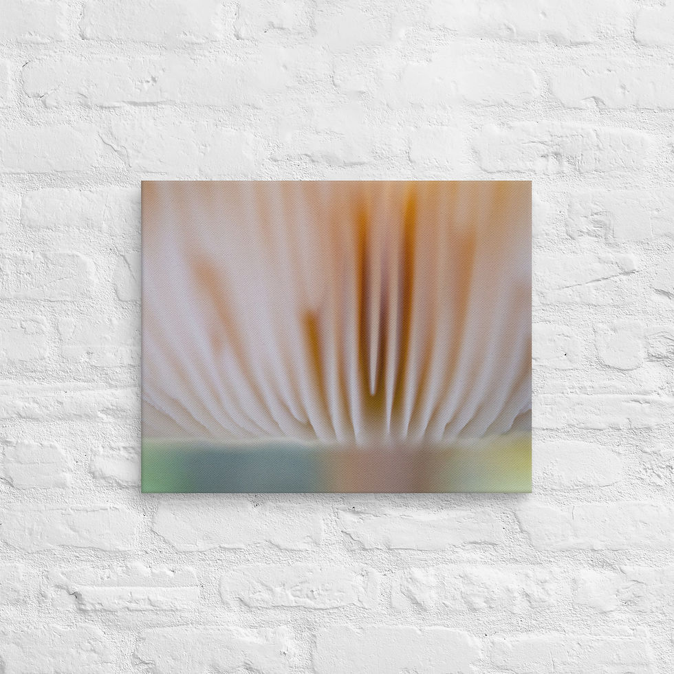 Thumbnail: Cloud 9, Canvas Wall Art