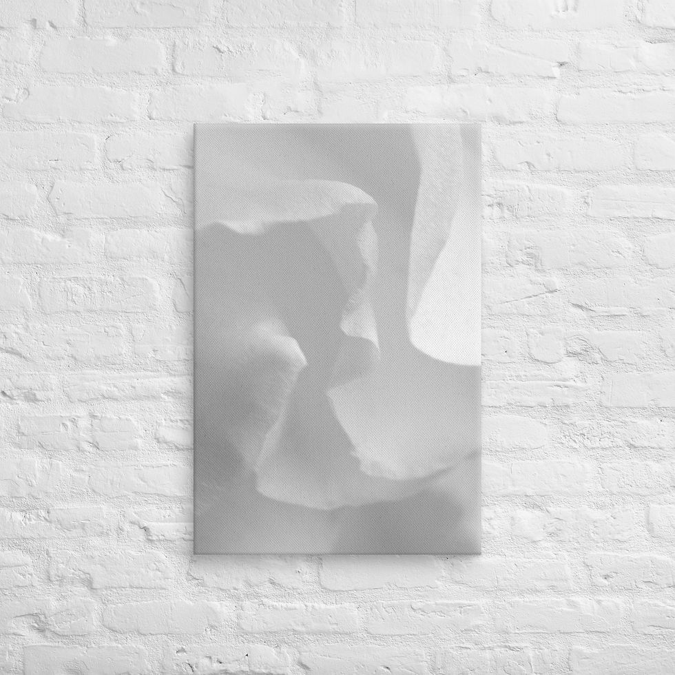 Thumbnail: Petal Dream, Canvas Wall Art