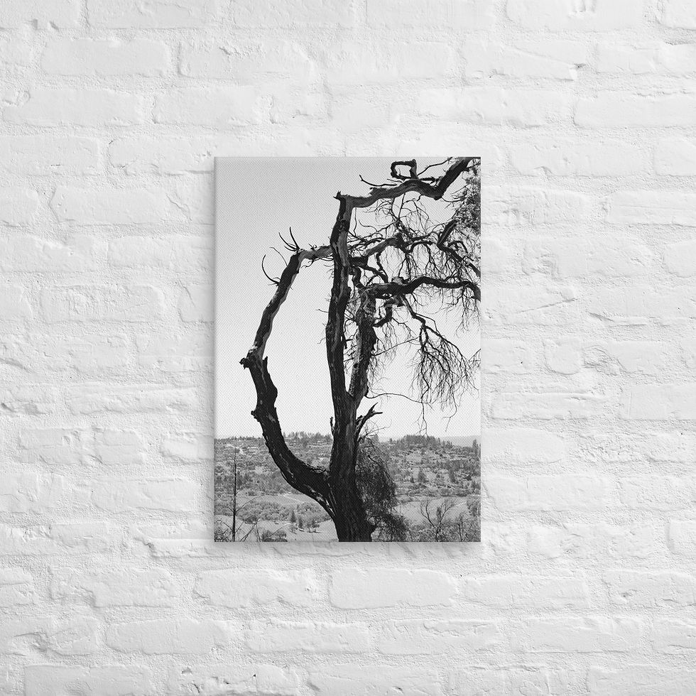 Thumbnail: Burnt, Canvas Wall Art