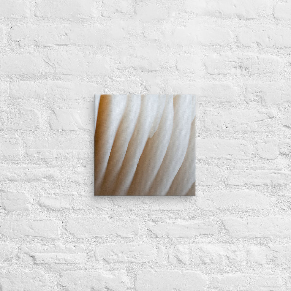Thumbnail: Cloud 10, Canvas Wall Art