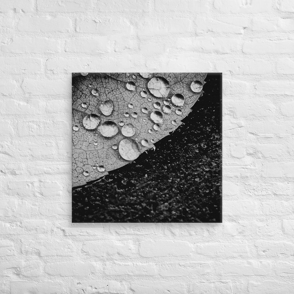 Thumbnail: Dark side, Canvas Wall Art