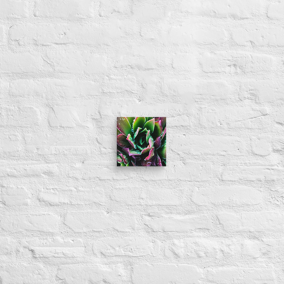 Thumbnail: Berry-Hue, Canvas Wall Art
