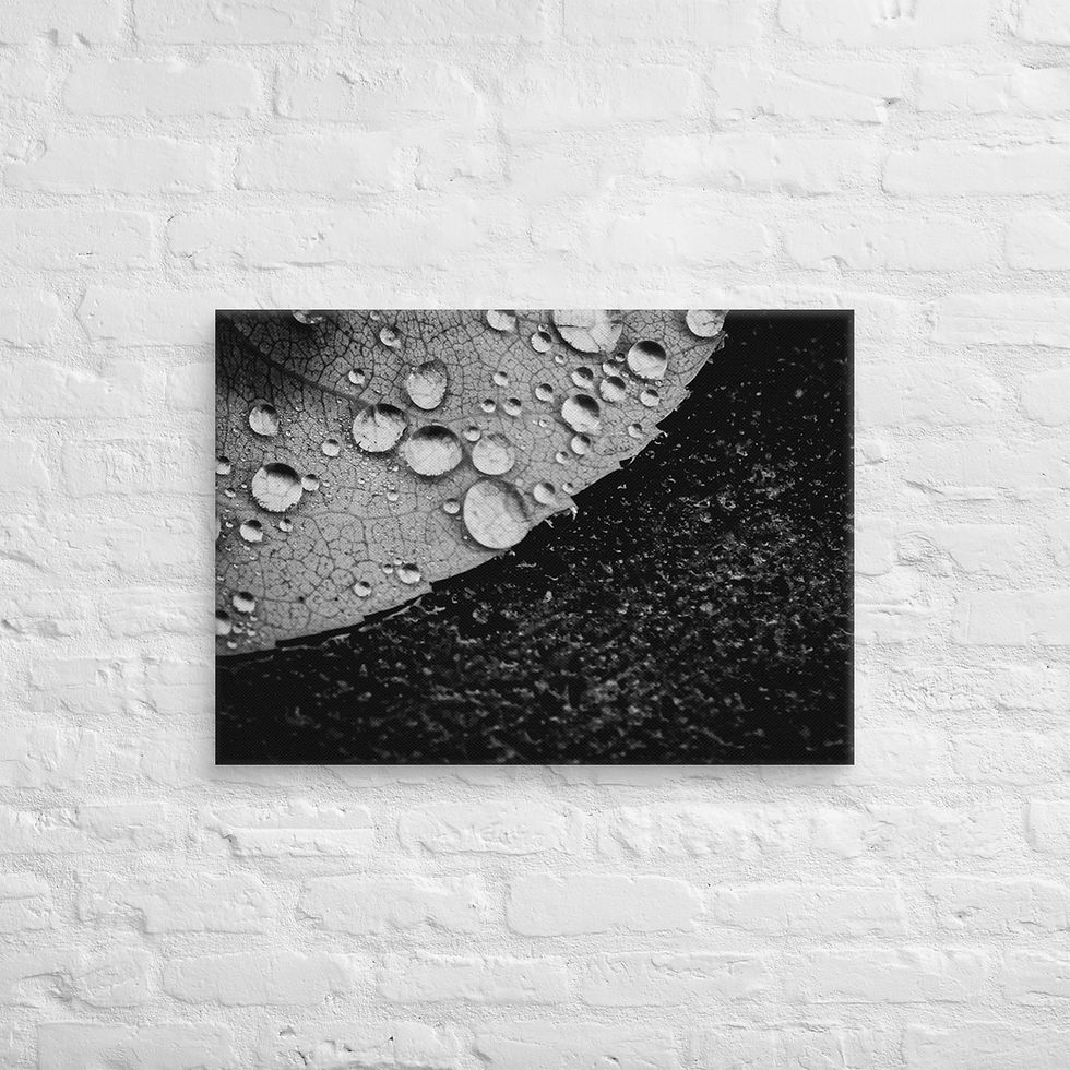 Thumbnail: Dark side, Canvas Wall Art