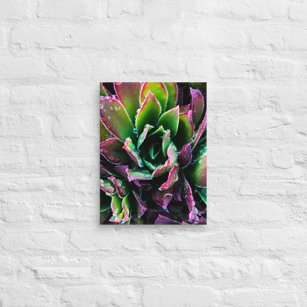 Thumbnail: Berry-Hue, Canvas Wall Art