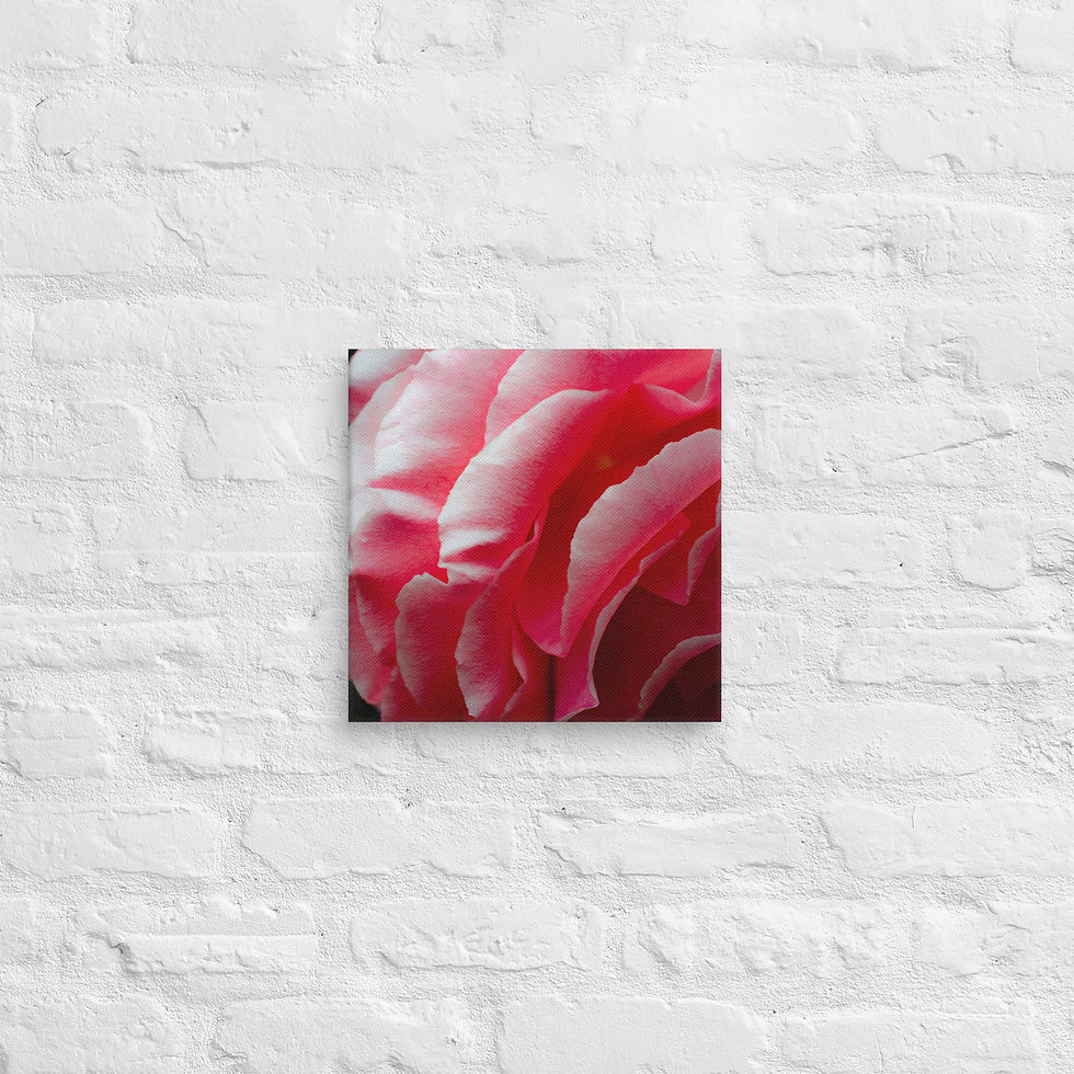 Thumbnail: Petal Drama, Canvas Wall Art