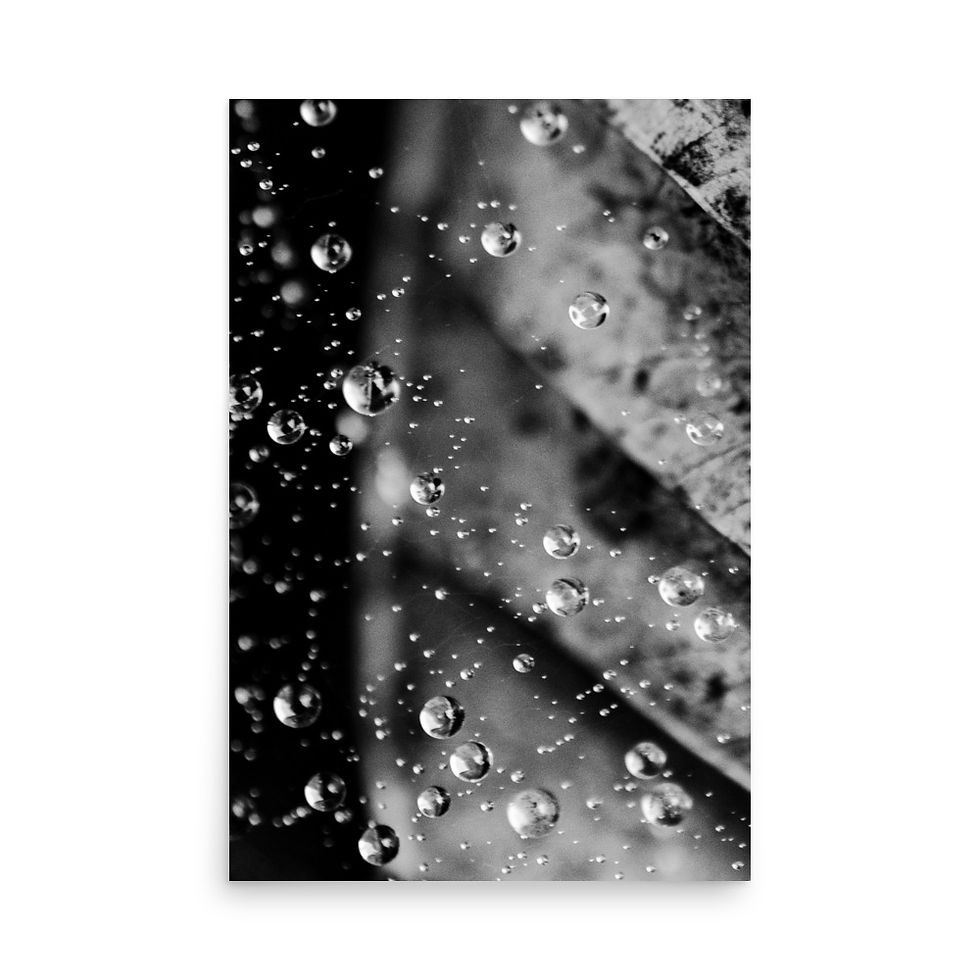 Thumbnail: Nature's Armor, Wall Art