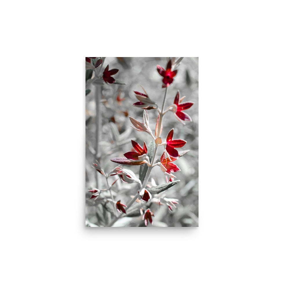 Miniatura: Heather Grey, Wall Art