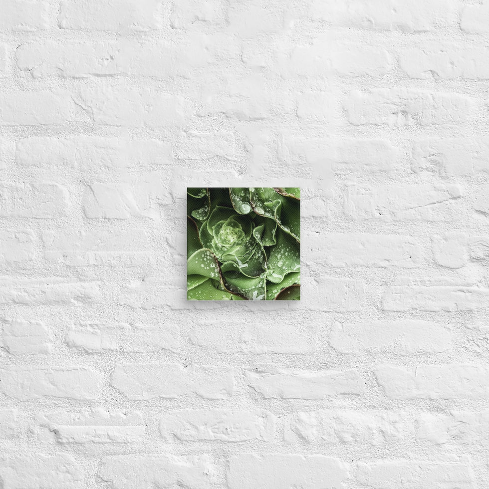 Thumbnail: Renew, Canvas Wall Art