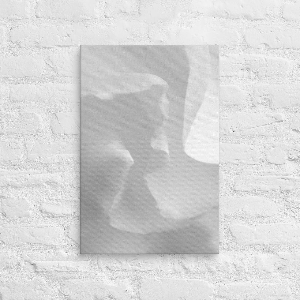 Thumbnail: Petal Dream, Canvas Wall Art