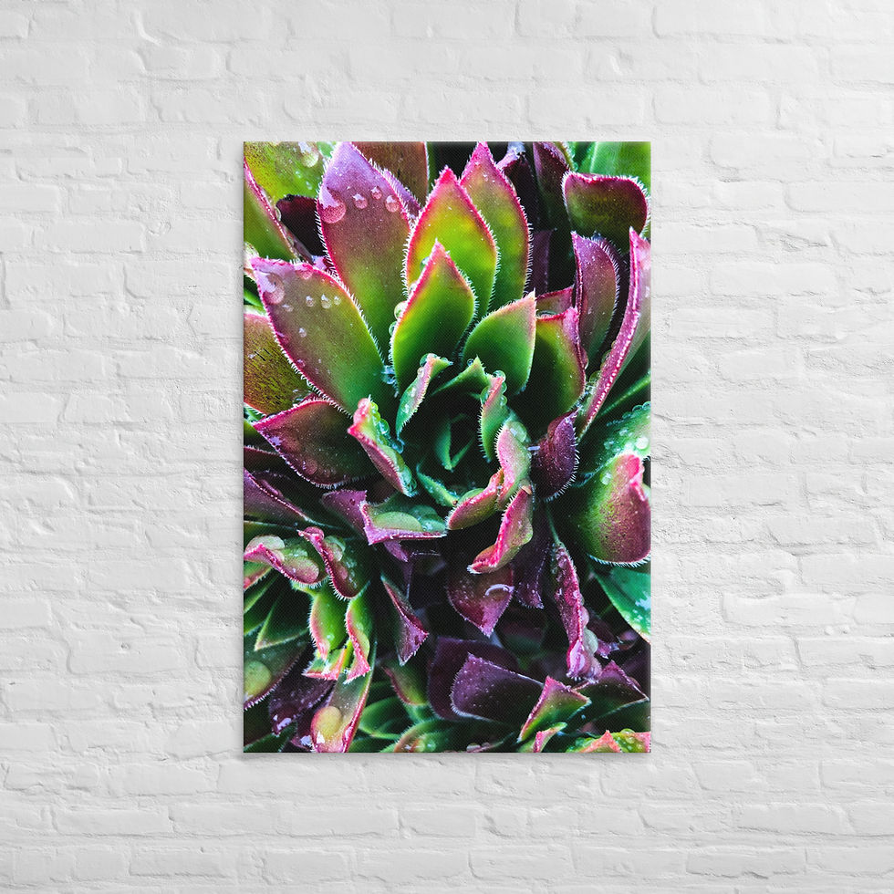 Thumbnail: Berry-Hue, Canvas Wall Art