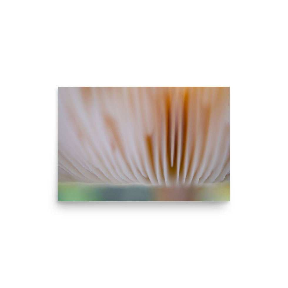 Thumbnail: Cloud 9, Wall Art