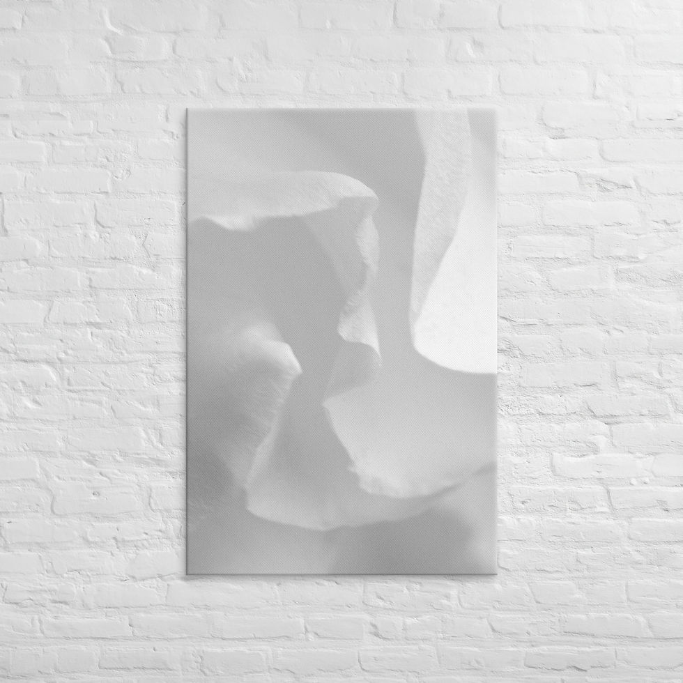 Thumbnail: Petal Dream, Canvas Wall Art
