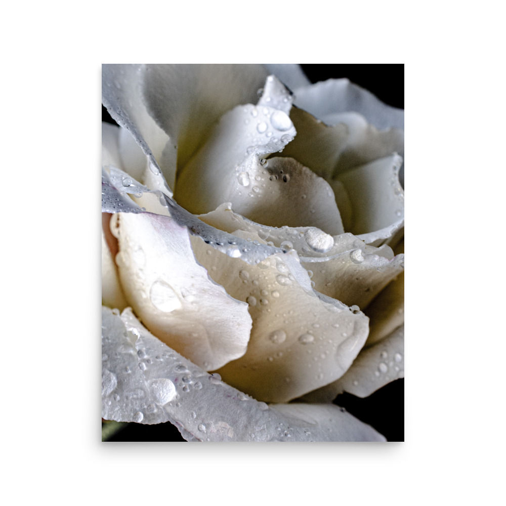 Petal Kiss, Wall Art