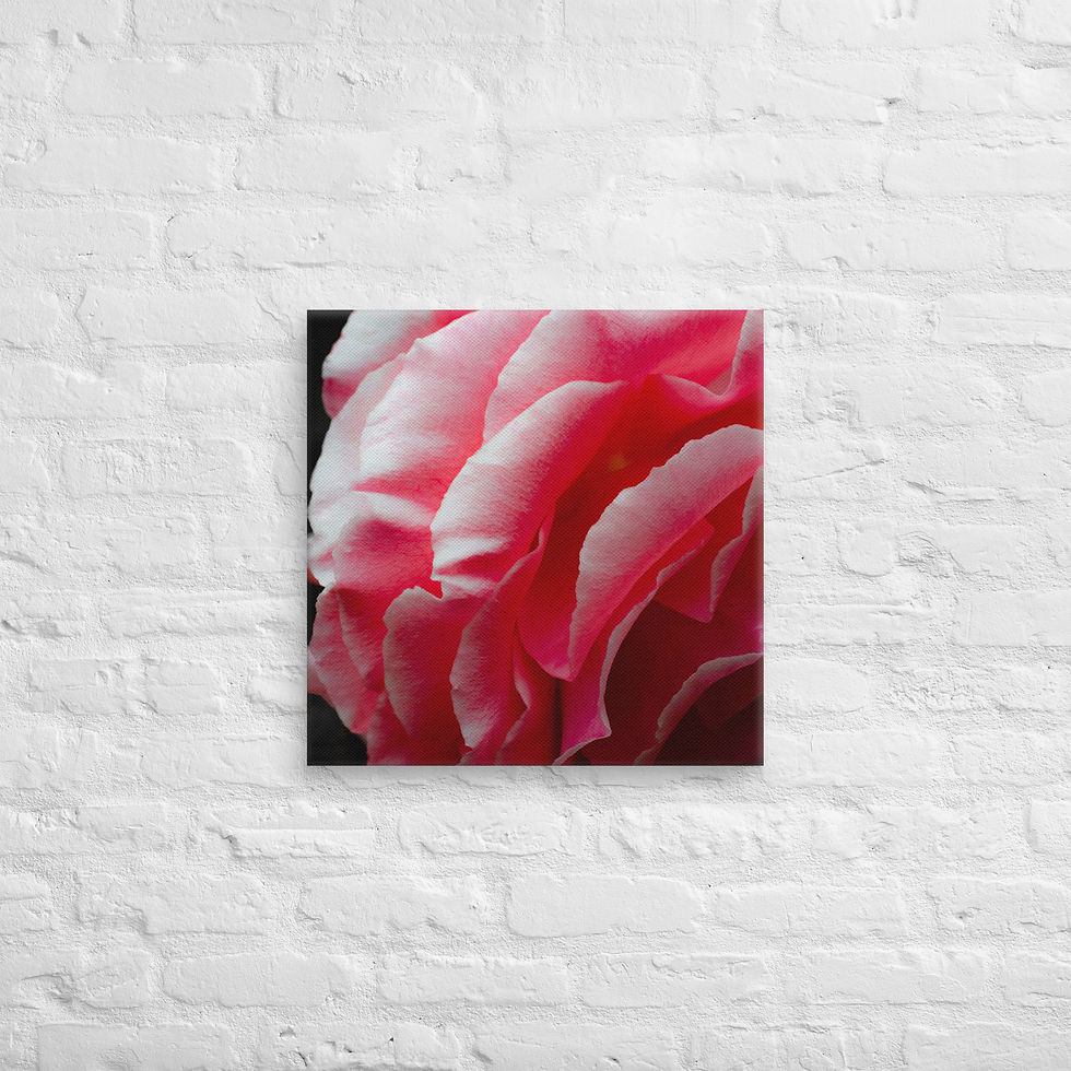 Thumbnail: Petal Drama, Canvas Wall Art
