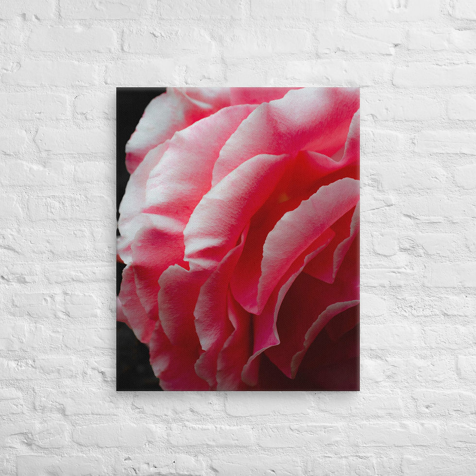 Thumbnail: Petal Drama, Canvas Wall Art