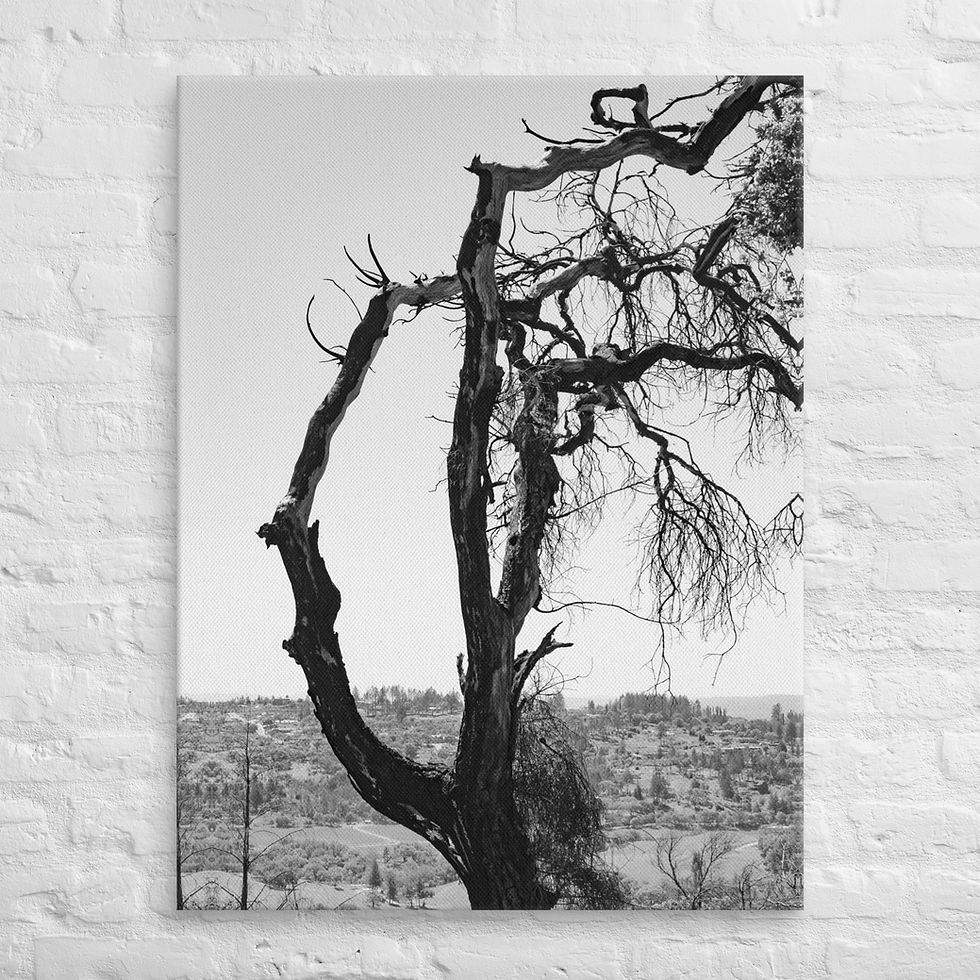 Thumbnail: Burnt, Canvas Wall Art