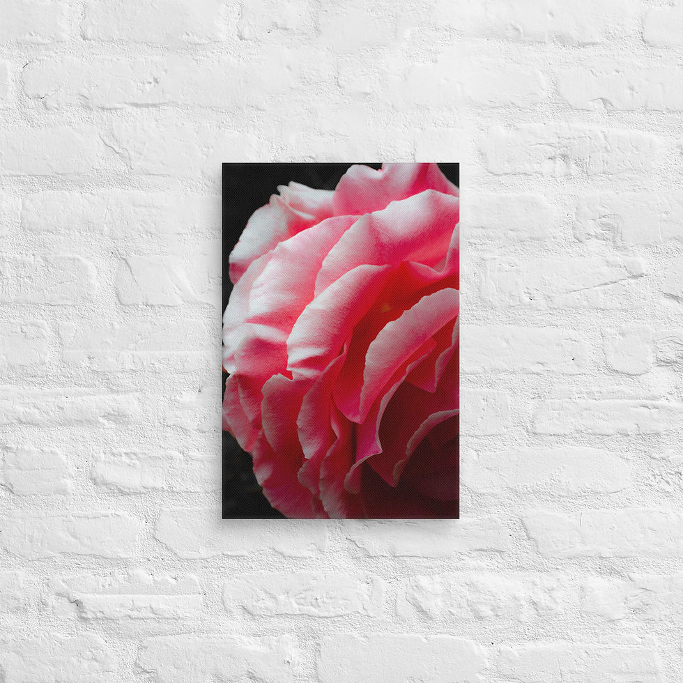 Thumbnail: Petal Drama, Canvas Wall Art
