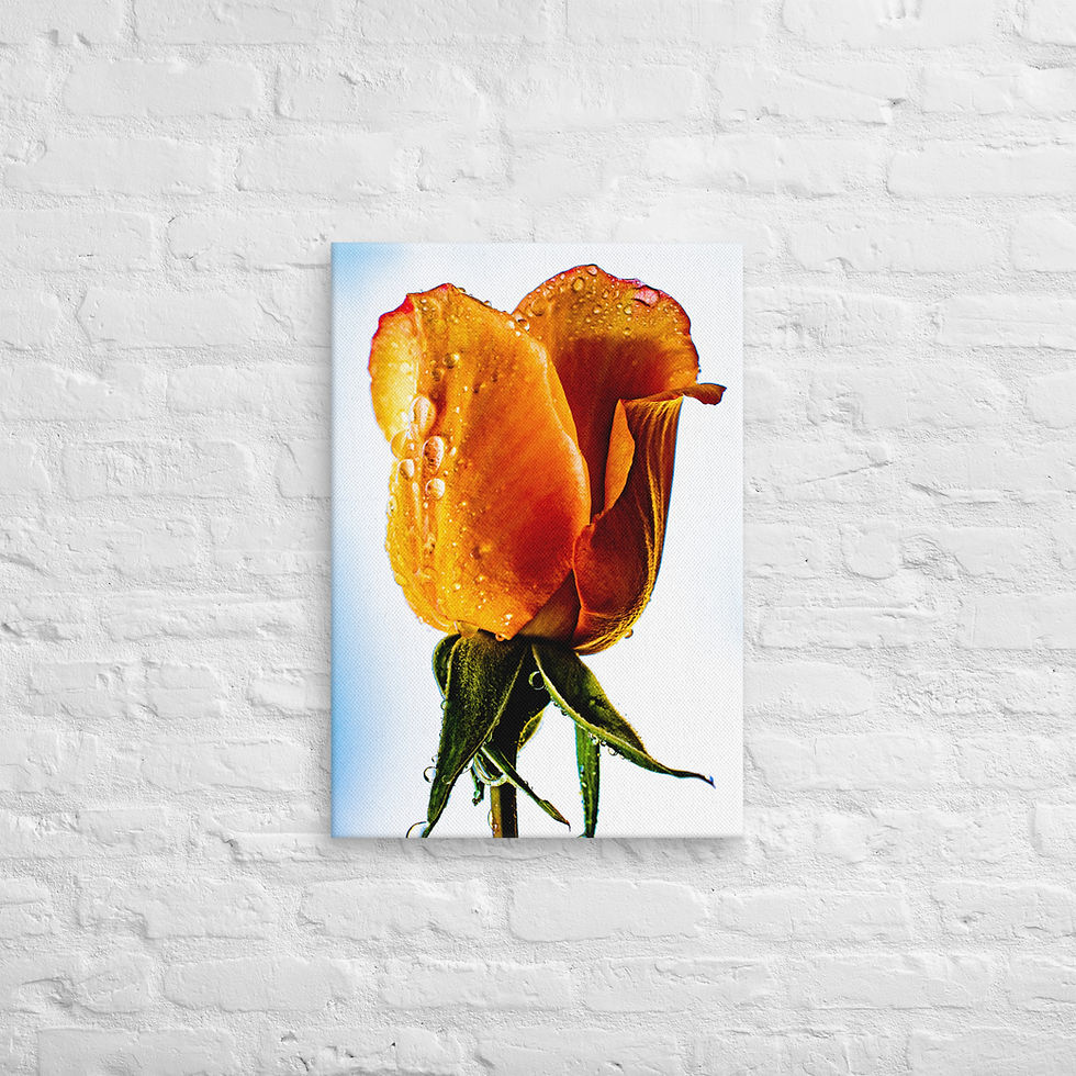 Thumbnail: Good Morning, Canvas Wall Art