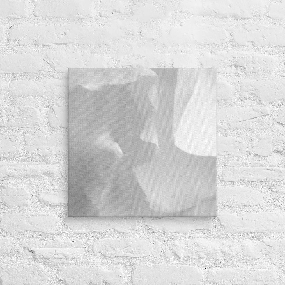Thumbnail: Petal Dream, Canvas Wall Art