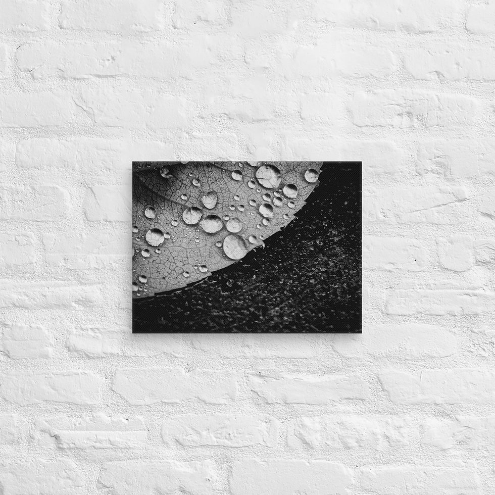 Thumbnail: Dark side, Canvas Wall Art