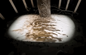 GIF-2023-11-08-12-57-36.gif
