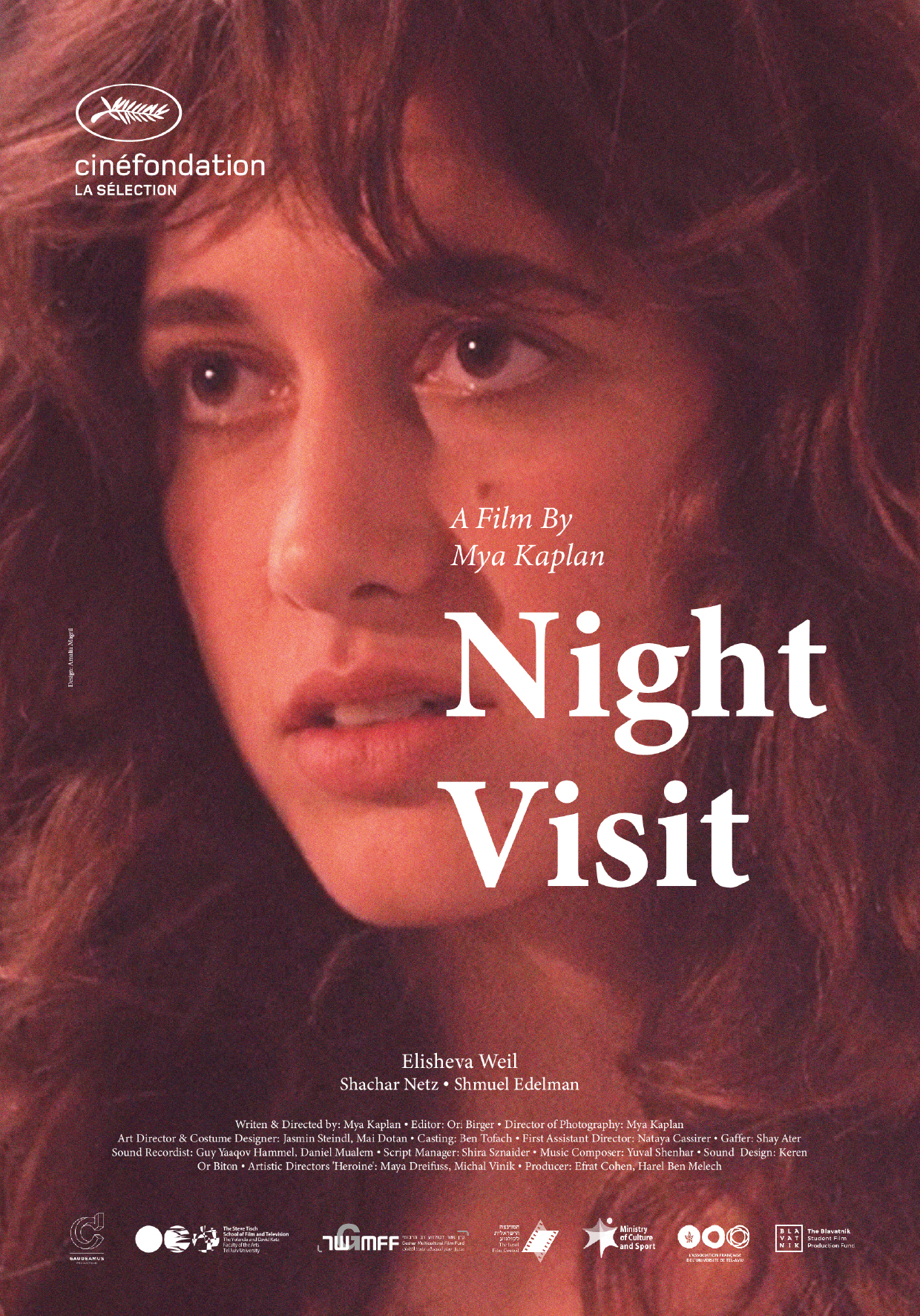 Night Visit — original poster