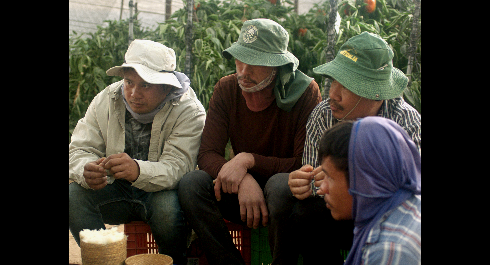 Foreign — still 1