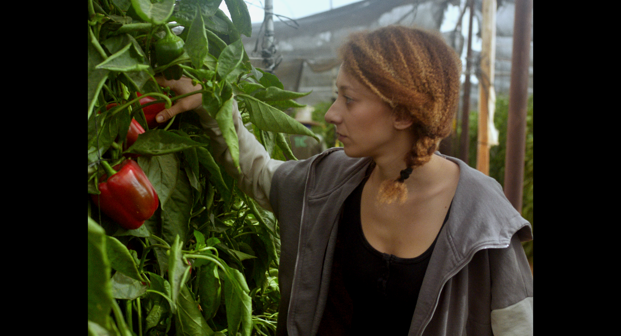 A still from Foreign