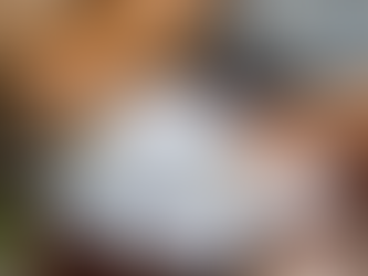 Tax Planning for Nonprofits in Southwest Florida