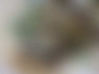 What Are Birria Tacos? The Mexican Street Food Everyone Loves