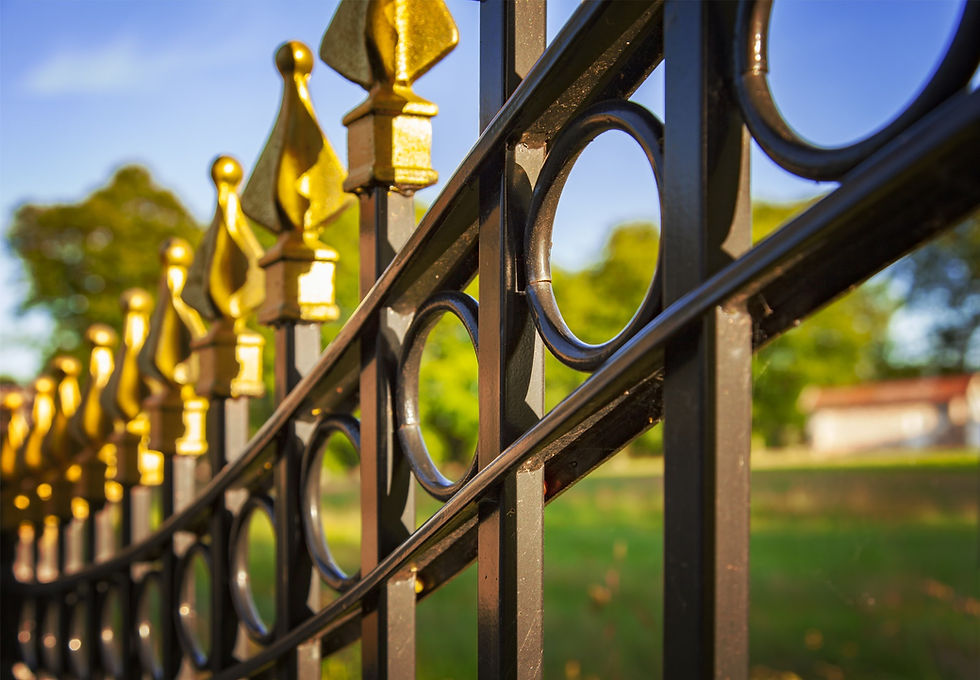 decorative-metal-fence-cast-iron-2.jpg