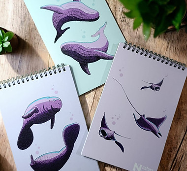 WhatsApp Image 2026-03-06 at 6.44.33 PM.jpeg