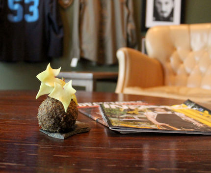 kokedamas centro de mesa